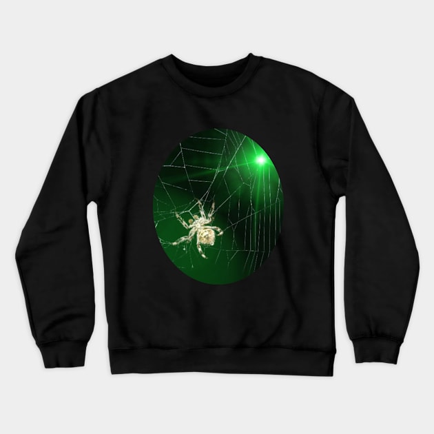 Spider Crewneck Sweatshirt by Boss Ressa